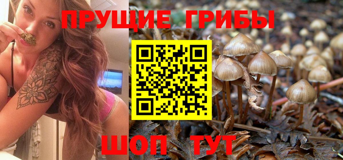 Галлюциногенные грибы мицелий Урус-Мартан